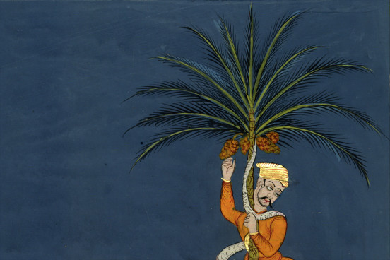 Młodzieniec na palmie daktylowej.