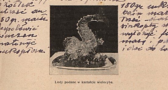 „Lody podane w kształcie wieloryba”, Maria Ochorowicz-Monatowa, Uniwersalna książka kucharska..., Warszawa 1913.