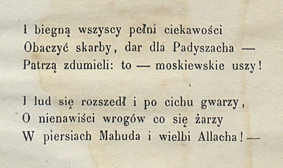Karol Brzozowski, Ognisty lew. Powieść czerkieska, Lwów 1857.