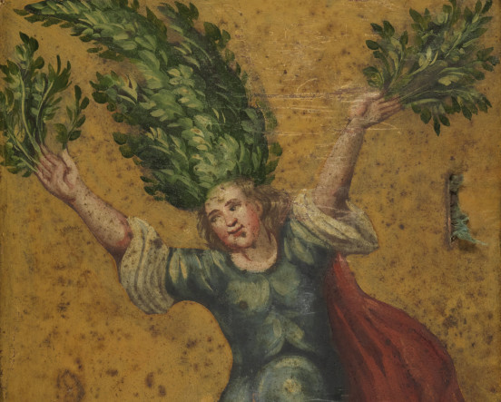 „Cyparissus puer in arborem”, z zielnika Georga Andreasa Helwinga.