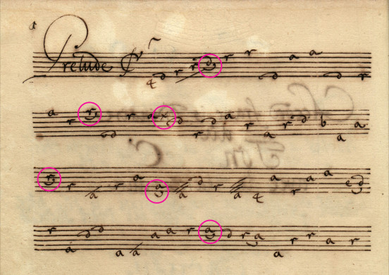 Ozdobniki zaznaczone w  Prelude z rękopisu Mus. 396 Cim.