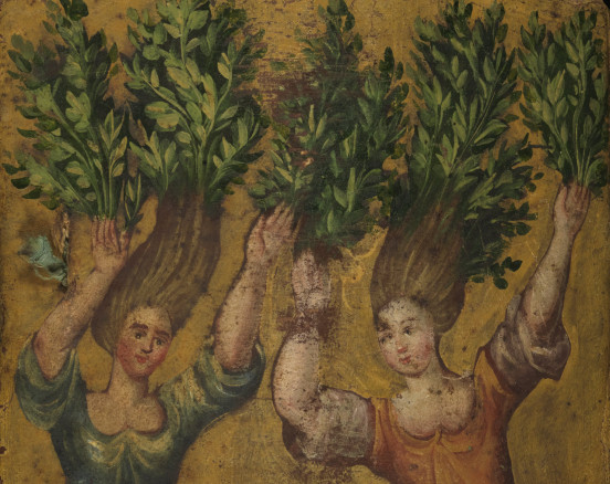 „Heliades in arbores“ z zielnika Georga Andreasa Helwinga.