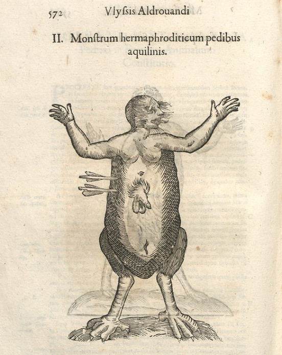 Ten sam potwór w „Monstrorum historia...”, Bononiae : typis Nicolai Tebaldini : Marco Antonio Bernia 1642.