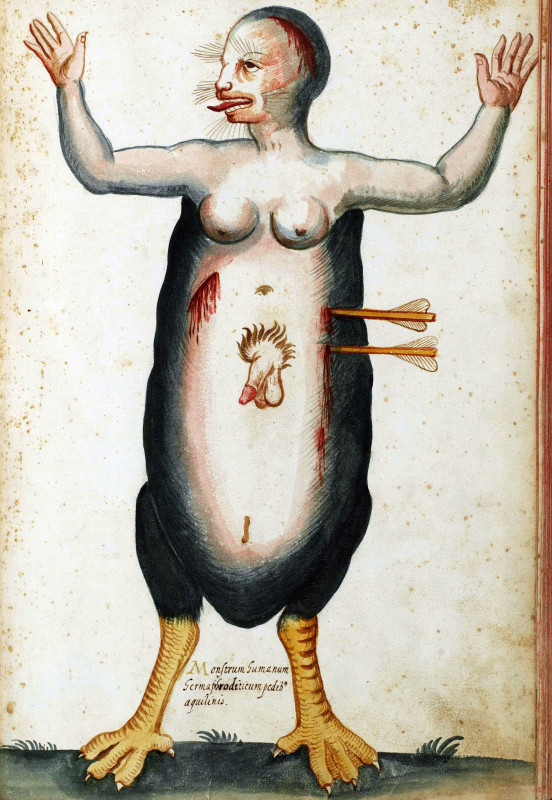 „Obupłciowy potwór człowieczy o orlich nogach” („Monstrum humanum hermaphroditicum pedibus aquilinis”) – akwarela z archiwum Ulissesa Aldrovandiego (ze zbiorów Università di Bologna).