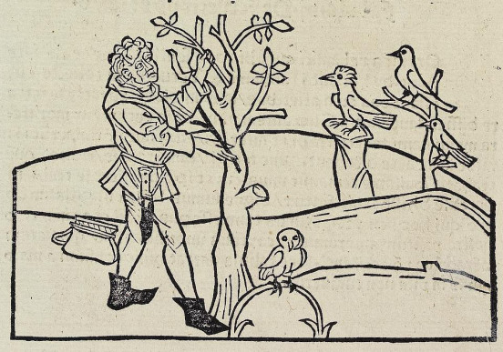 Myśliwy szykujący pułapkę na ptaki, Aesopus, Vita et Fabulae, Strassburg: Heinrich Knoblochtzer, 1481.