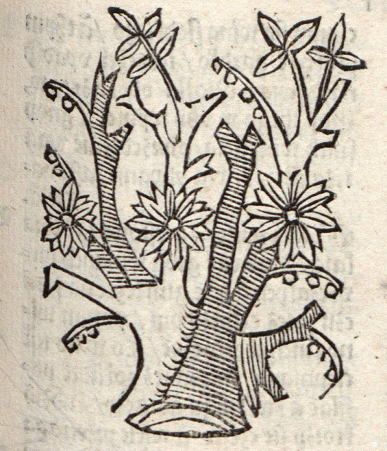 „Jemioło”, Stefan Falimirz, O ziolach y o moczy gich..., [Kraków] : (Florian Vnglerius [...], 24 XII 1534).